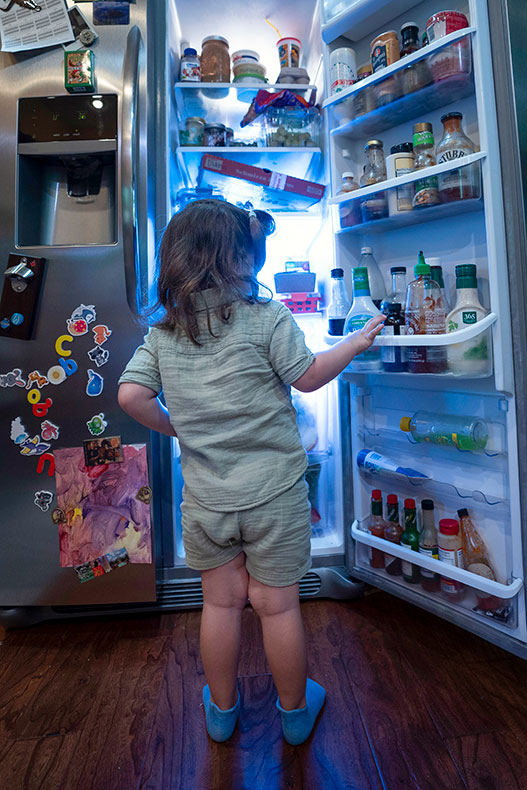 Refrigerator door shut