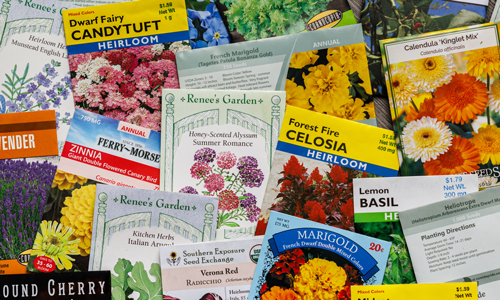 Retail seeds