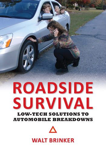Roadside Survival