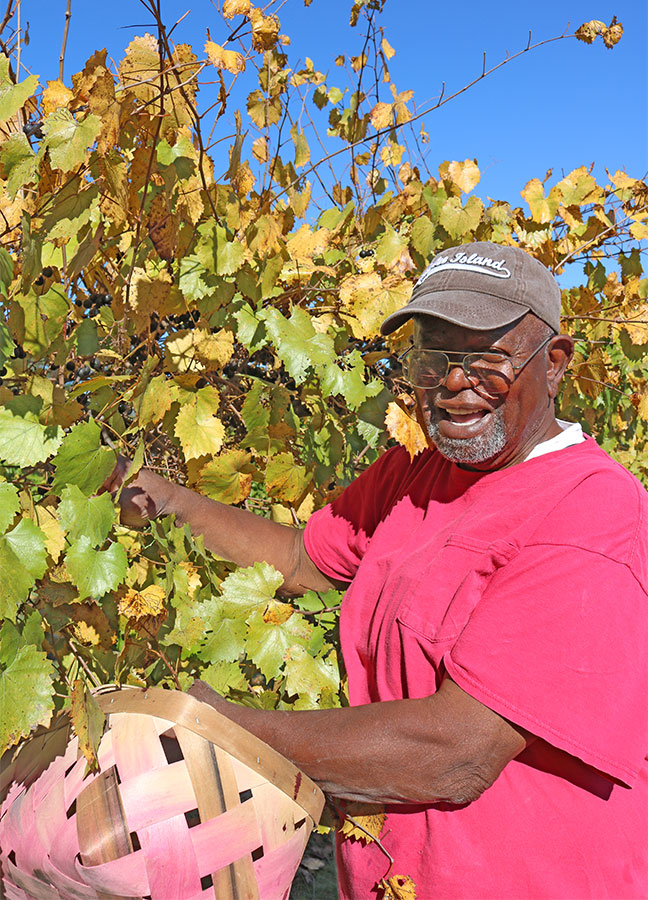 Robert Brown gleaning
