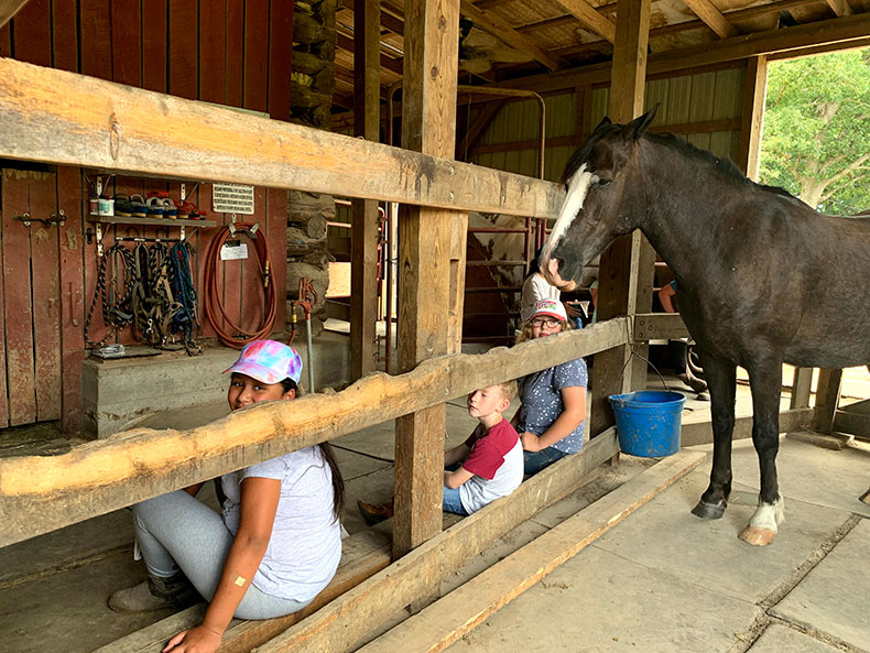 Spirit Horse Ranch