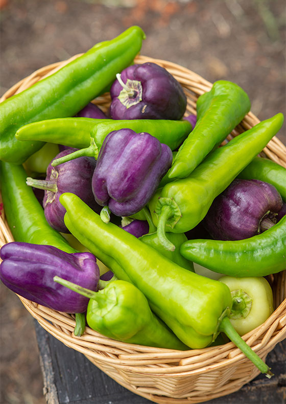 Peppers