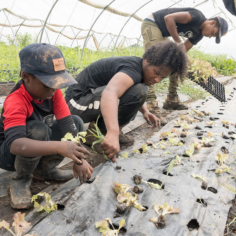 Sankofa Farm planting