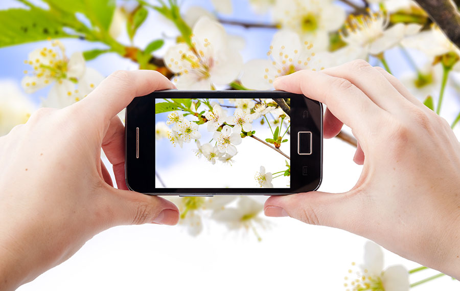 Smartphone Photography Quick Tips Smartphone Photography Quick Tips
