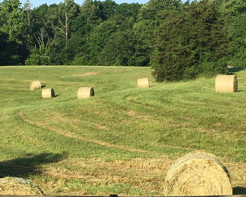 Dory Hubbard - All Baled Up