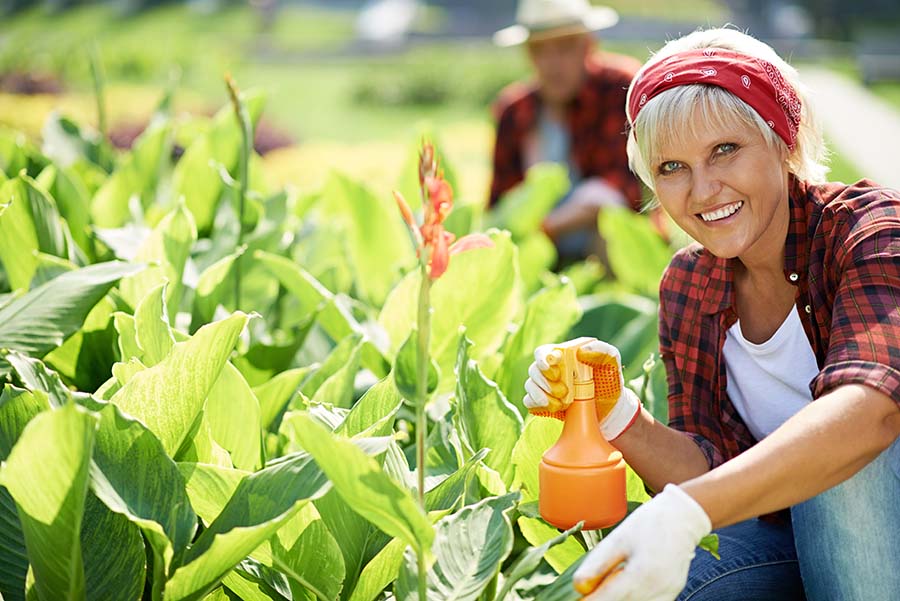 Spray garden