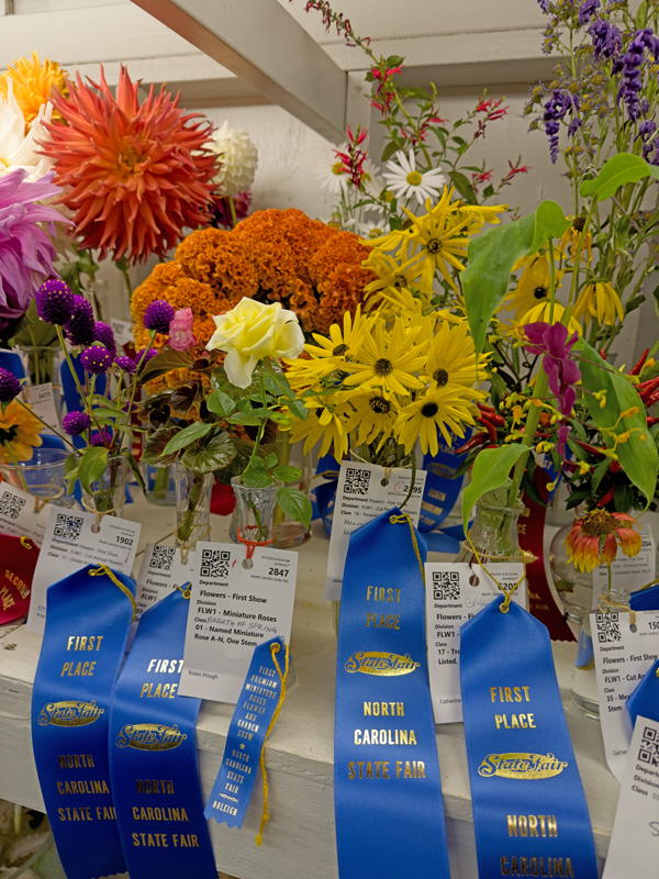 State Fair Winners