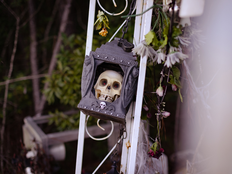 Haunted Trail Stateline