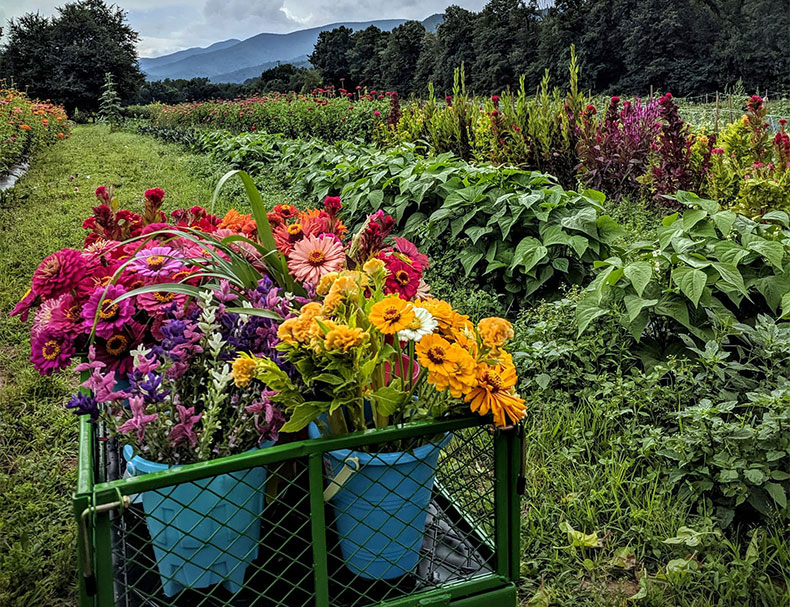 The Ten Acre Garden