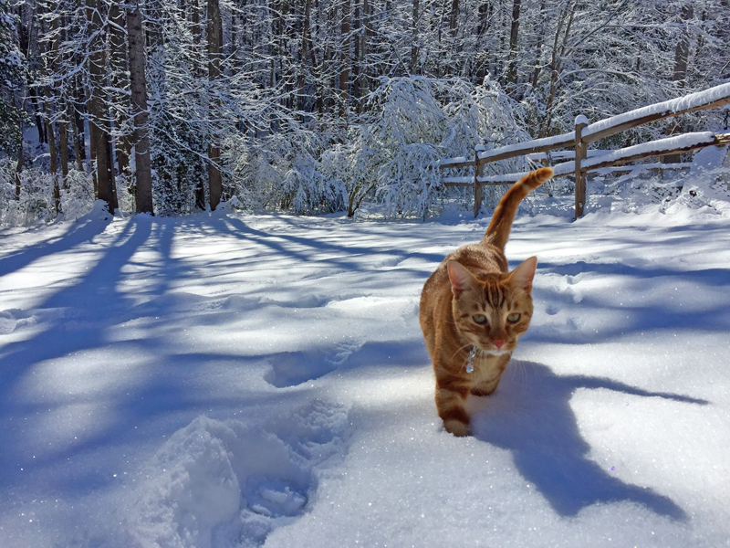 Photo by Terri Ward