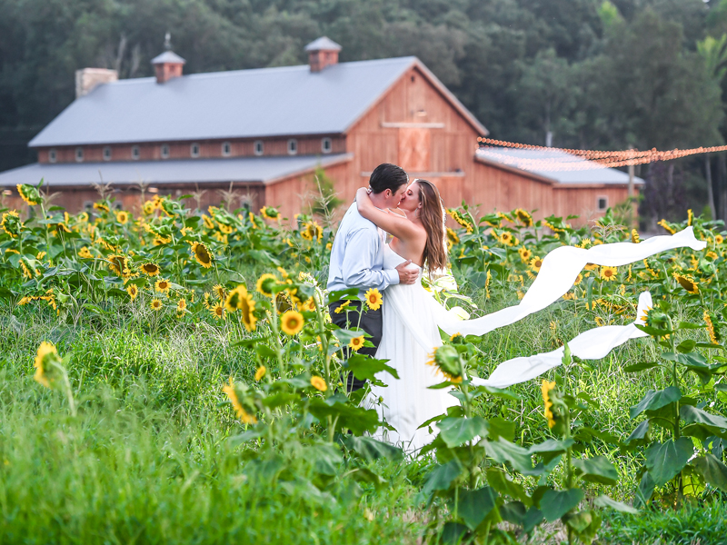 The Farmstead
