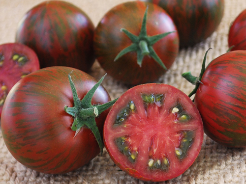 Purple Zebra Tomatoes