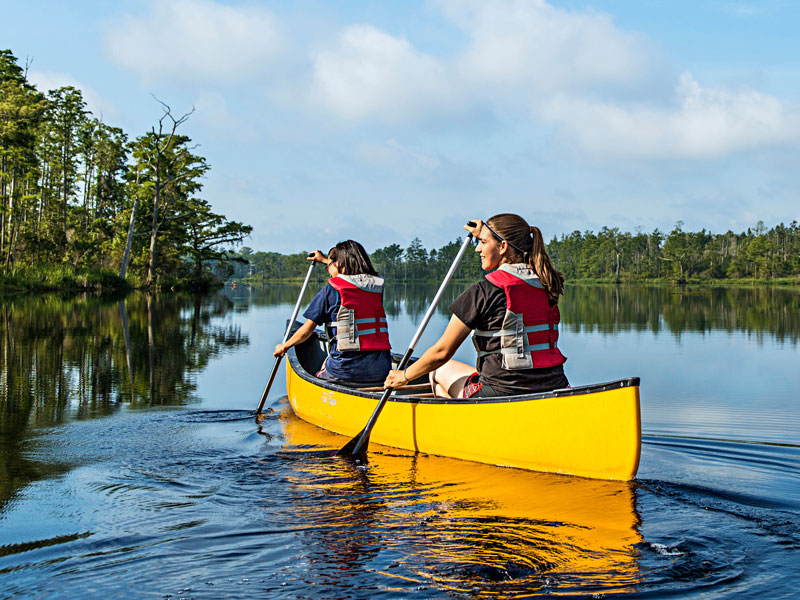 Canoeing at Alligator River