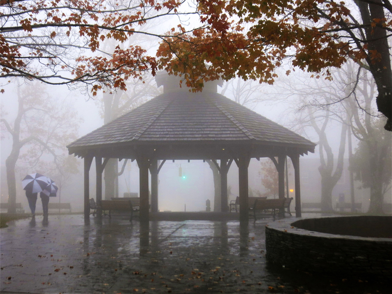 Patricia Joynes - Umbrellas in the Mist