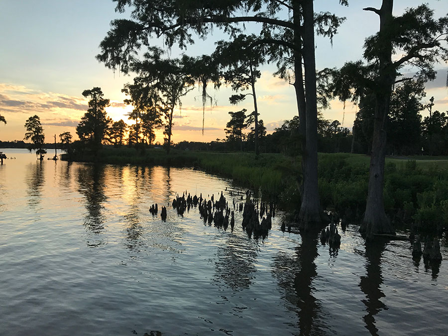 Albemarle Sound