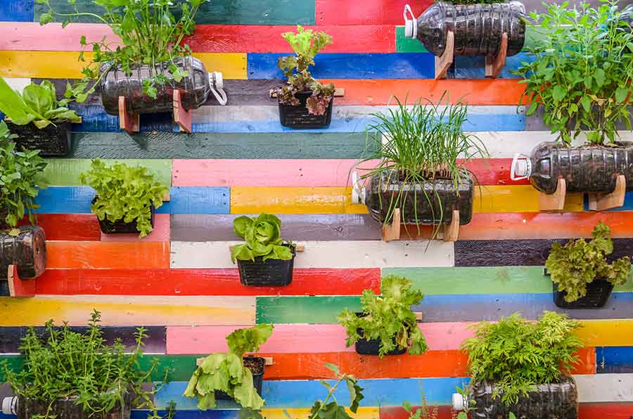 Wall of Plants