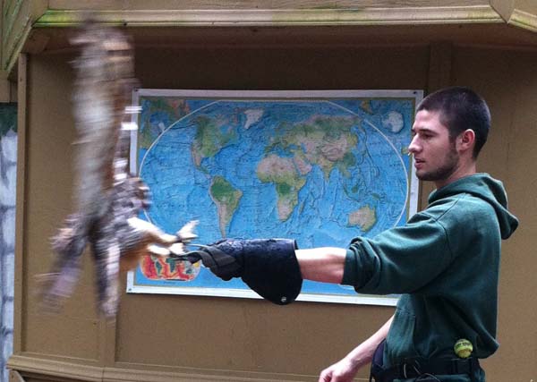 WildThings-Carolina-Raptor-Center
