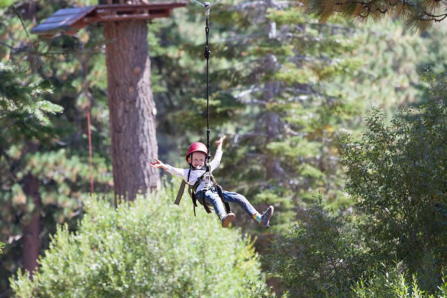 Zipline