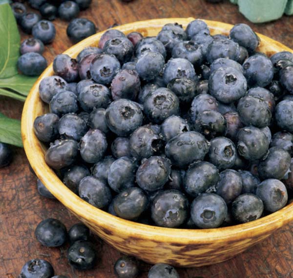 blueberries