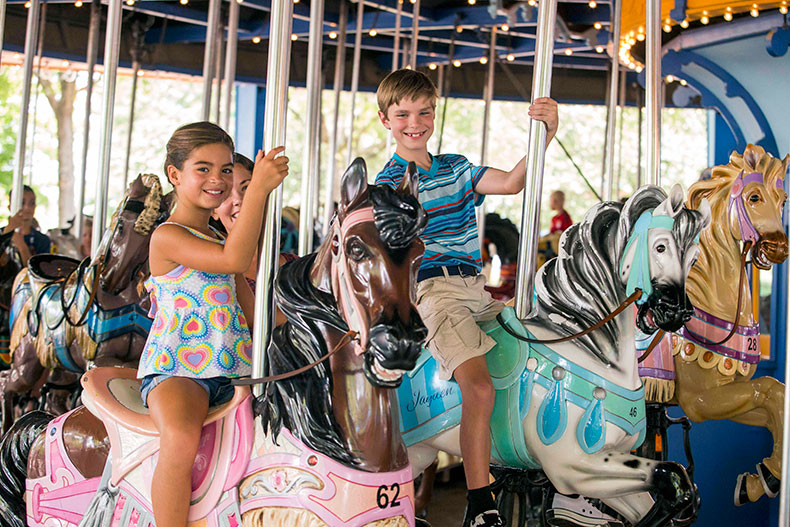 NCZoo Carousel