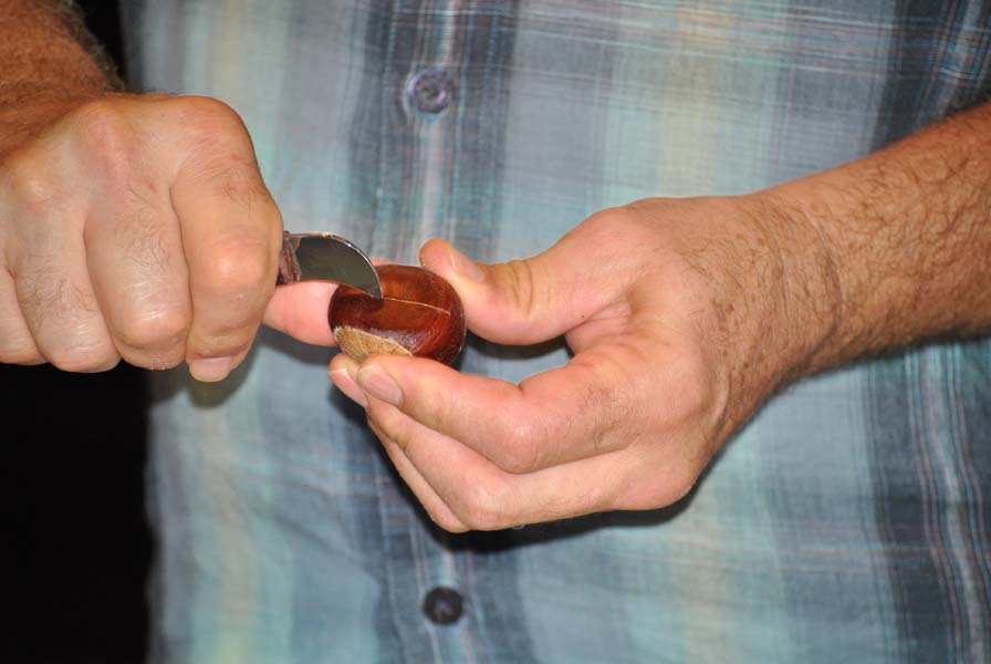 chestnuts-07