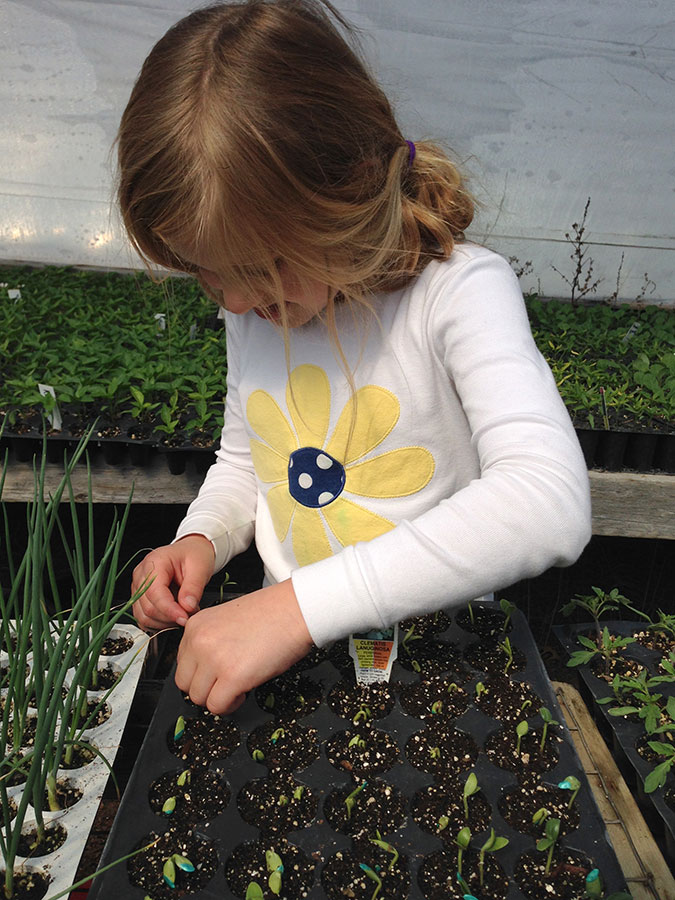 Child Planting