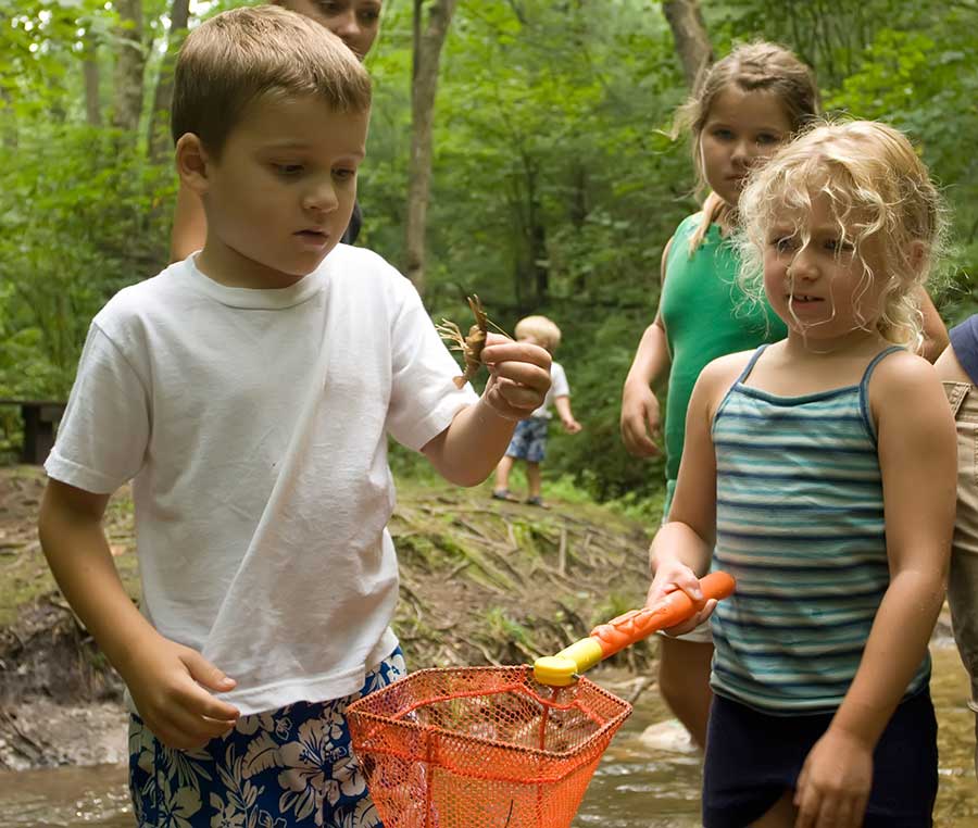 children playing with crawfish
