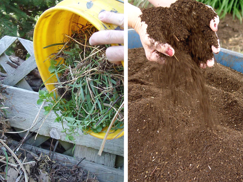 Compost