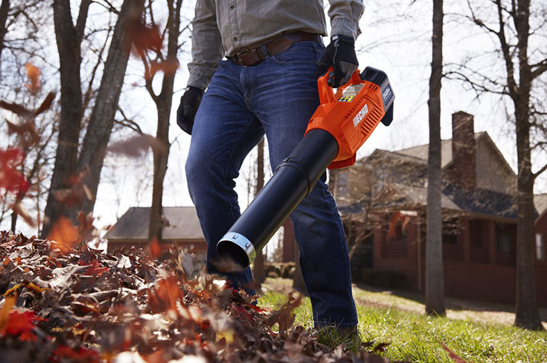 Leaf blower
