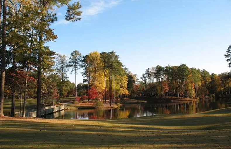 Cypress Landing