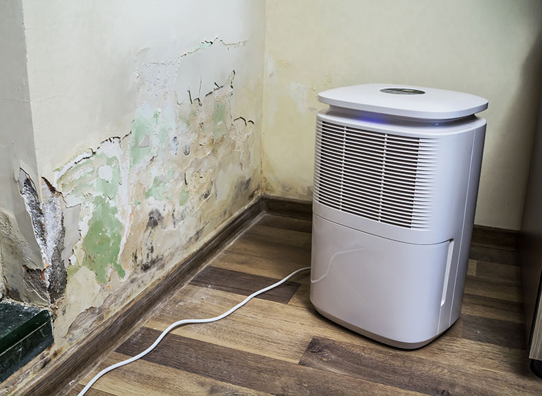 Dehumidifier