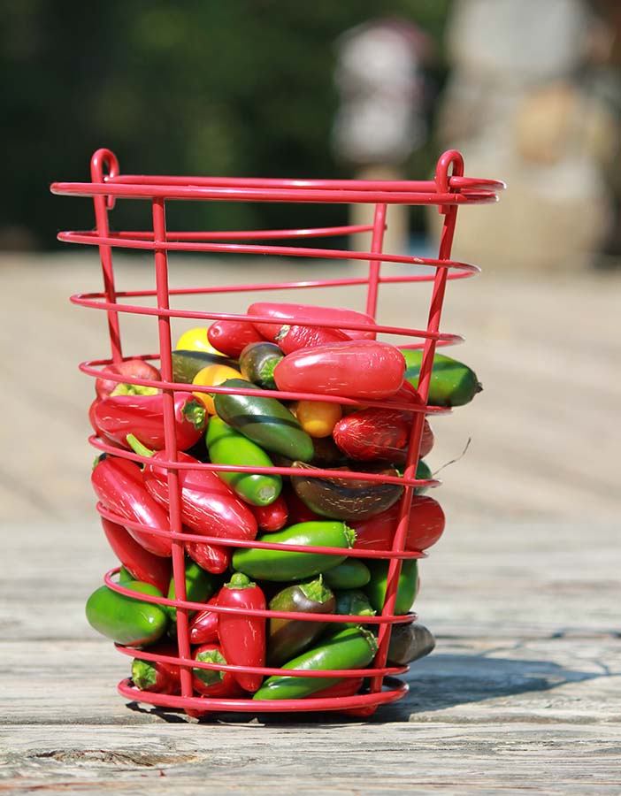 Great-Gardens-NC-jalapenos