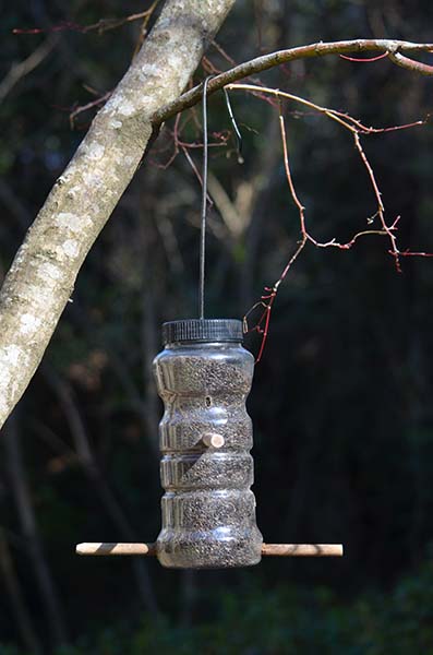 feeder