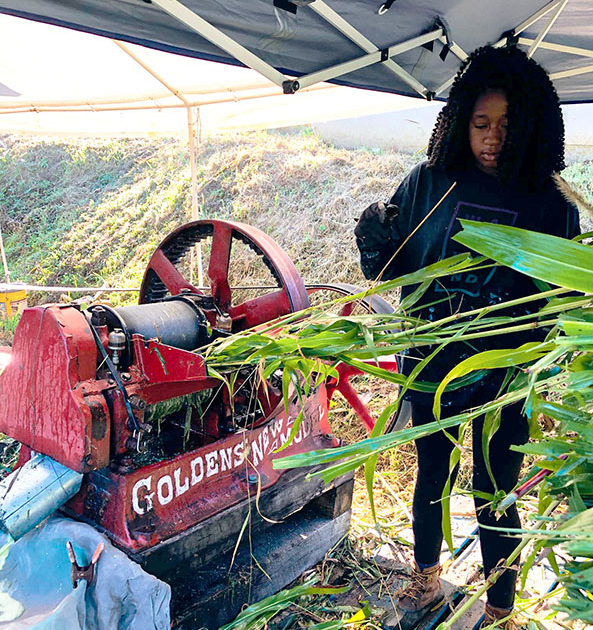 Feeding the Mill