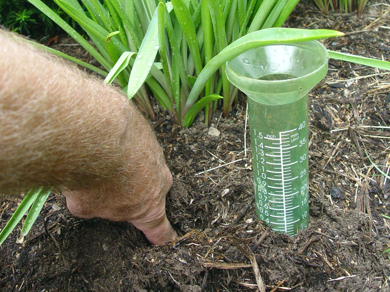 Finger as a water meter