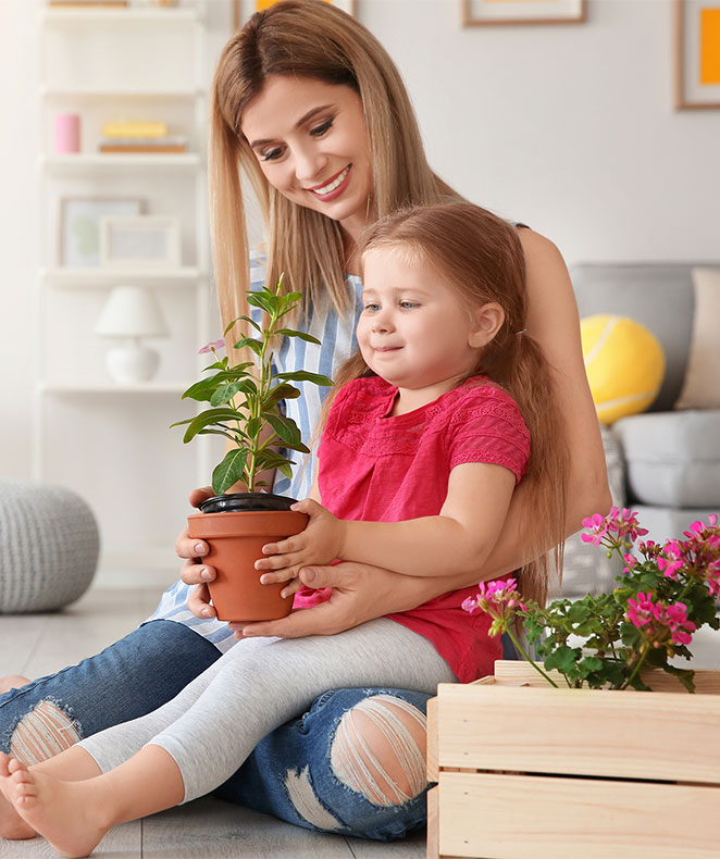 five tips better air quality