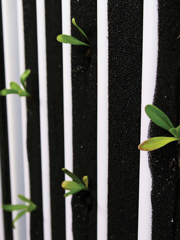 Greenery Transplanting