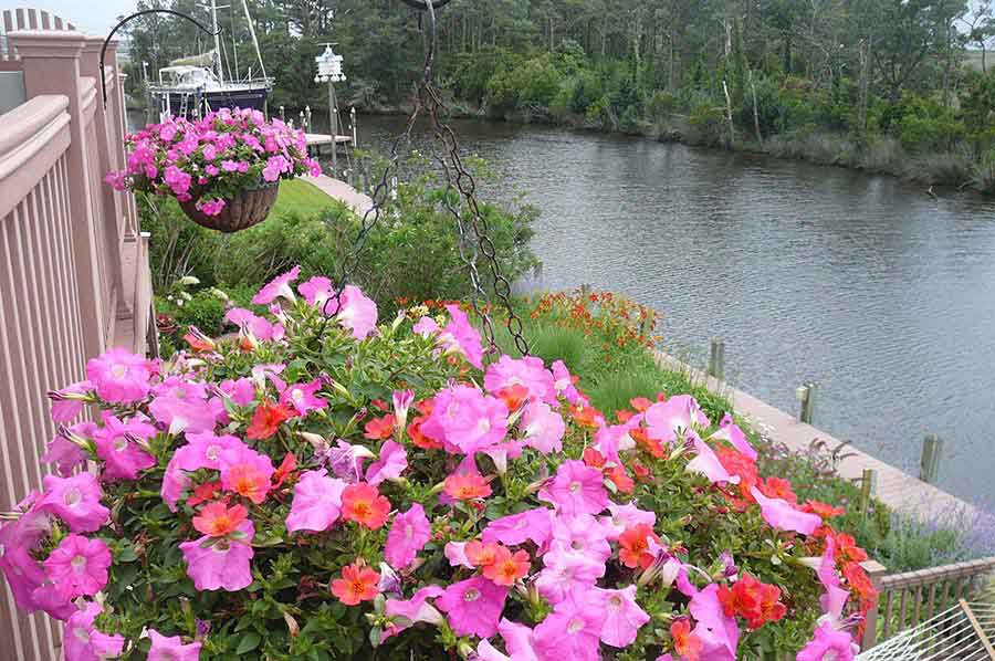 Great-Gardens-NC-Albemarle-Sound