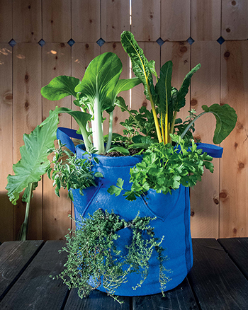 Grow bags