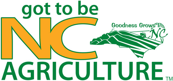 gtbnc ag trademark