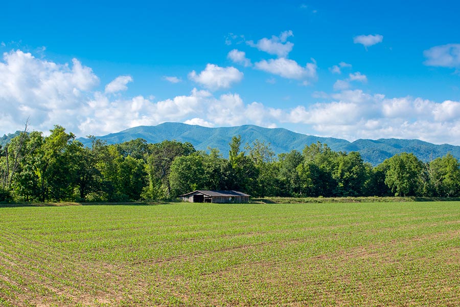 holbrook farm 1[2]