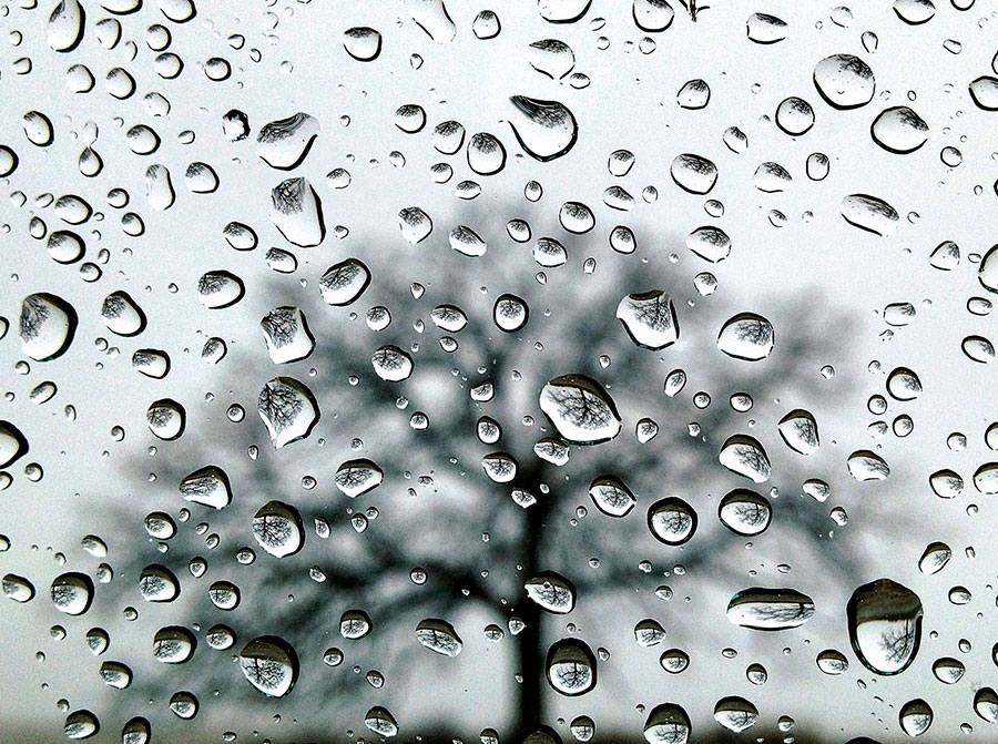 iPhone 4S Selective Focus