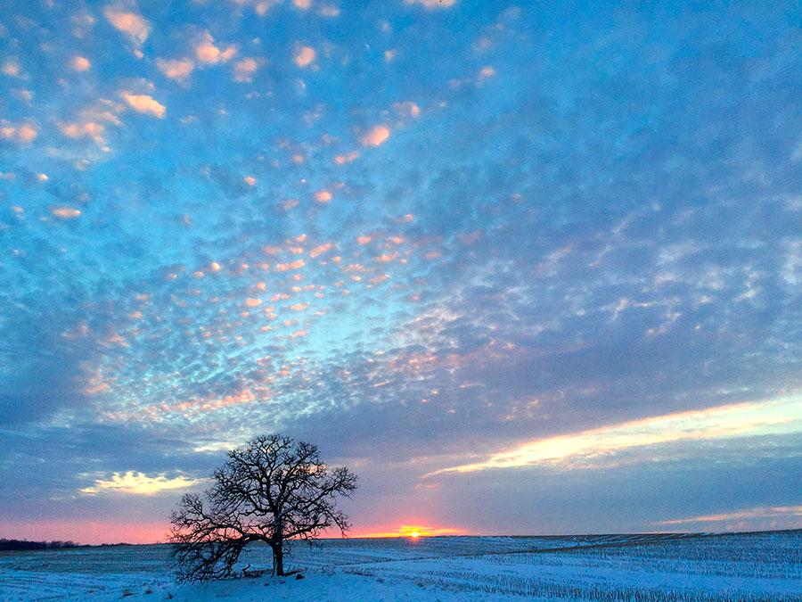iPhone6 Cotton Candy Sky