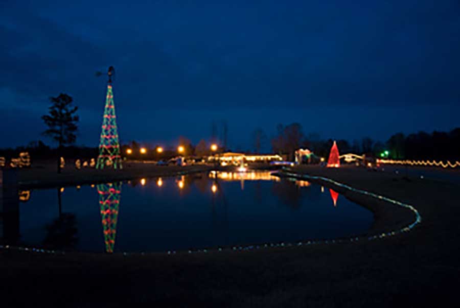 lu mil vineyard festival of lights 2