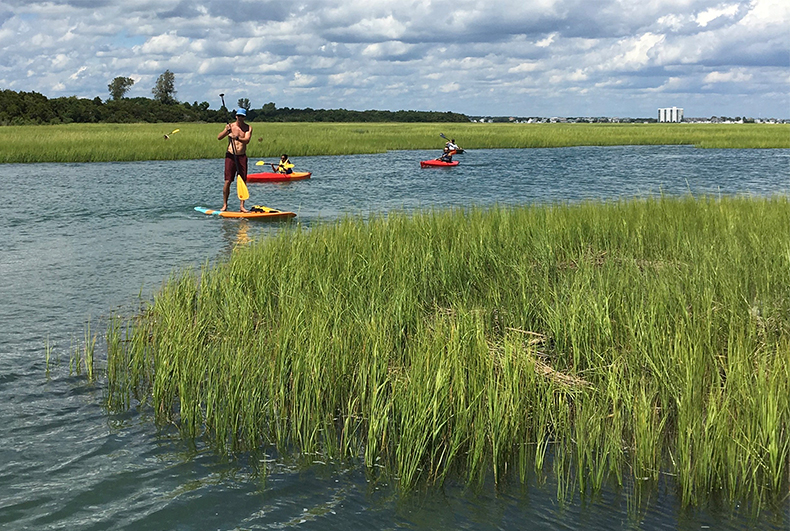 Marsh paddleboarding