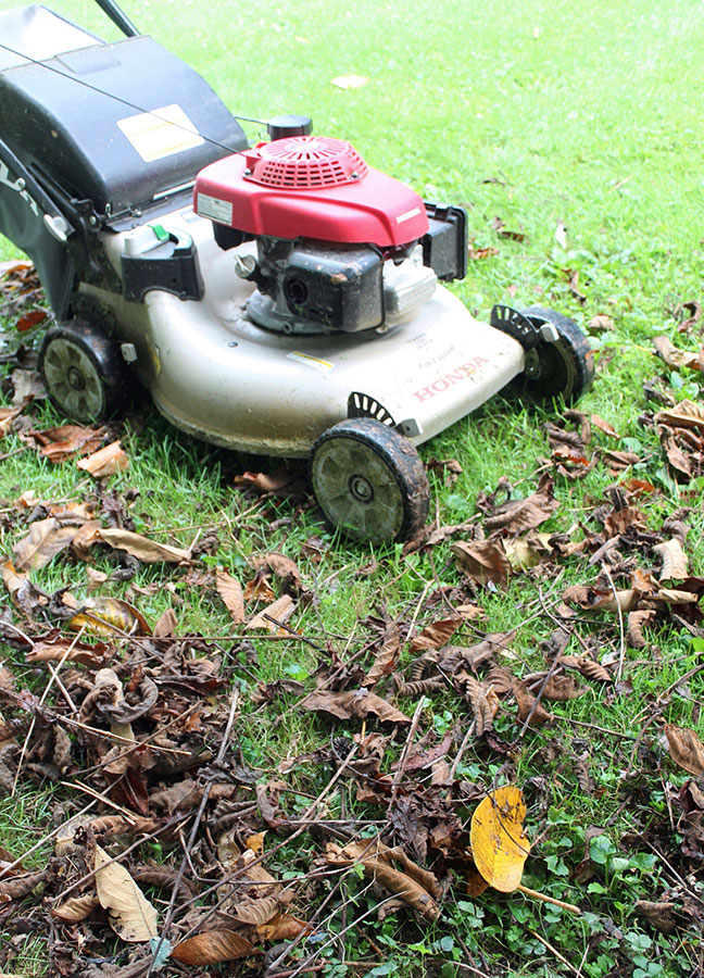 mow leaves