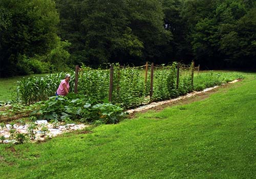 Great-Gardens-NC-XXX