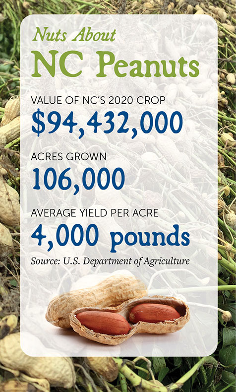 Nuts about NC Peanuts