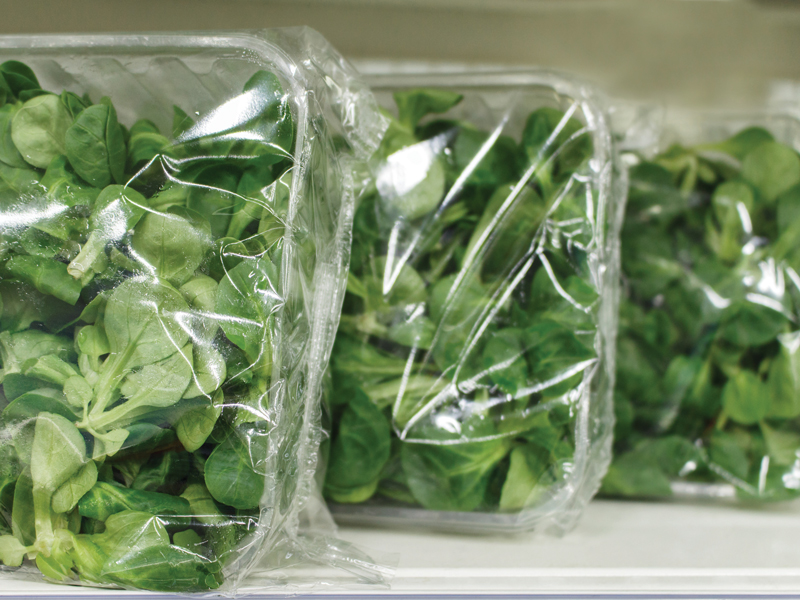 Packaged green container farm