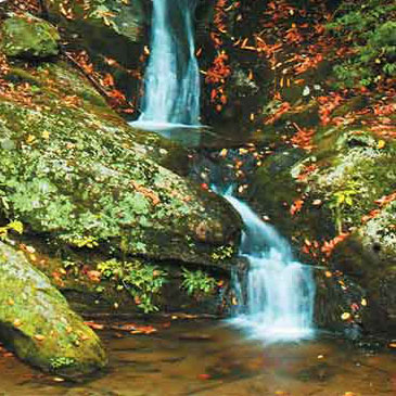 pisgah tn